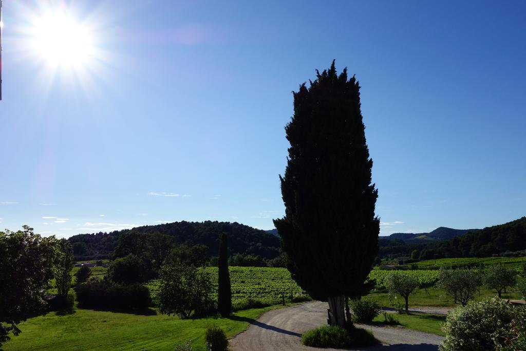 Le Mas En Provence Bed & Breakfast Entrechaux Exterior photo